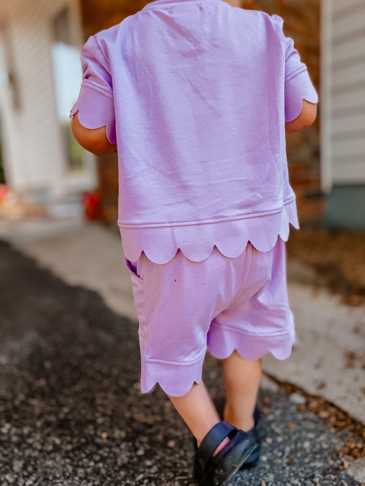 Summer scallop sets